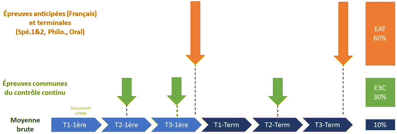 bac 2021 tempo transparent