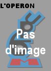 operon-couv-pasdimage-mini